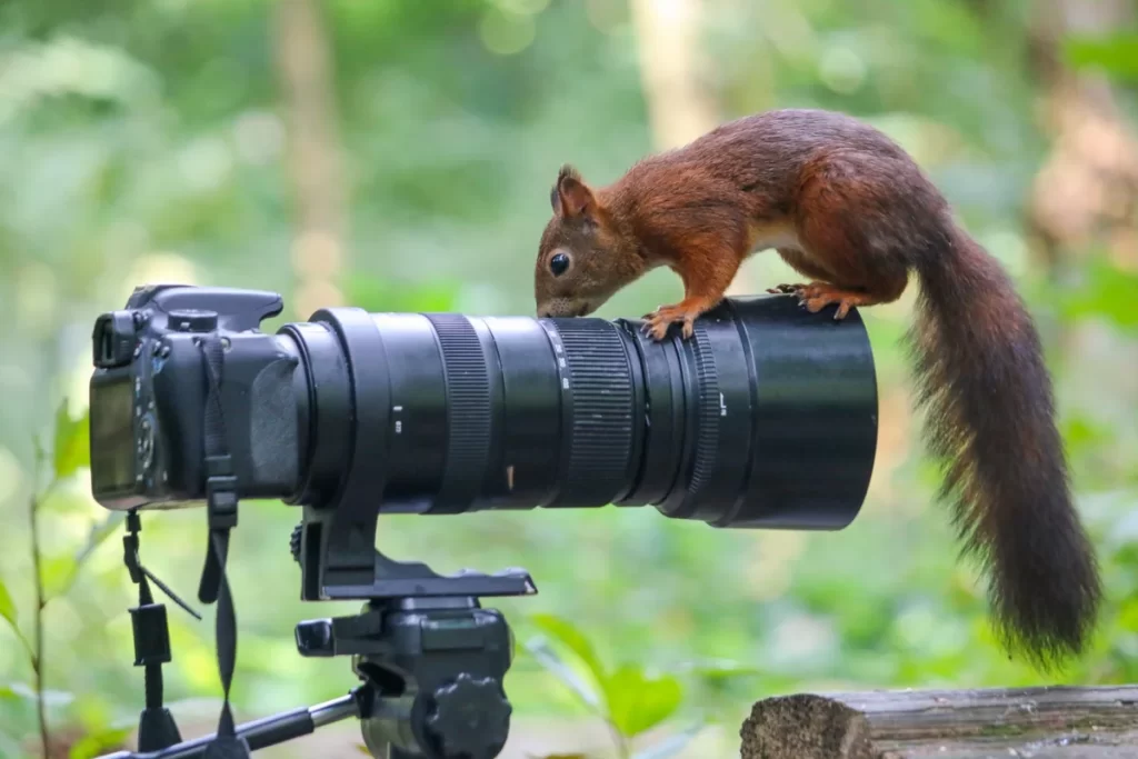 produzir um documentário